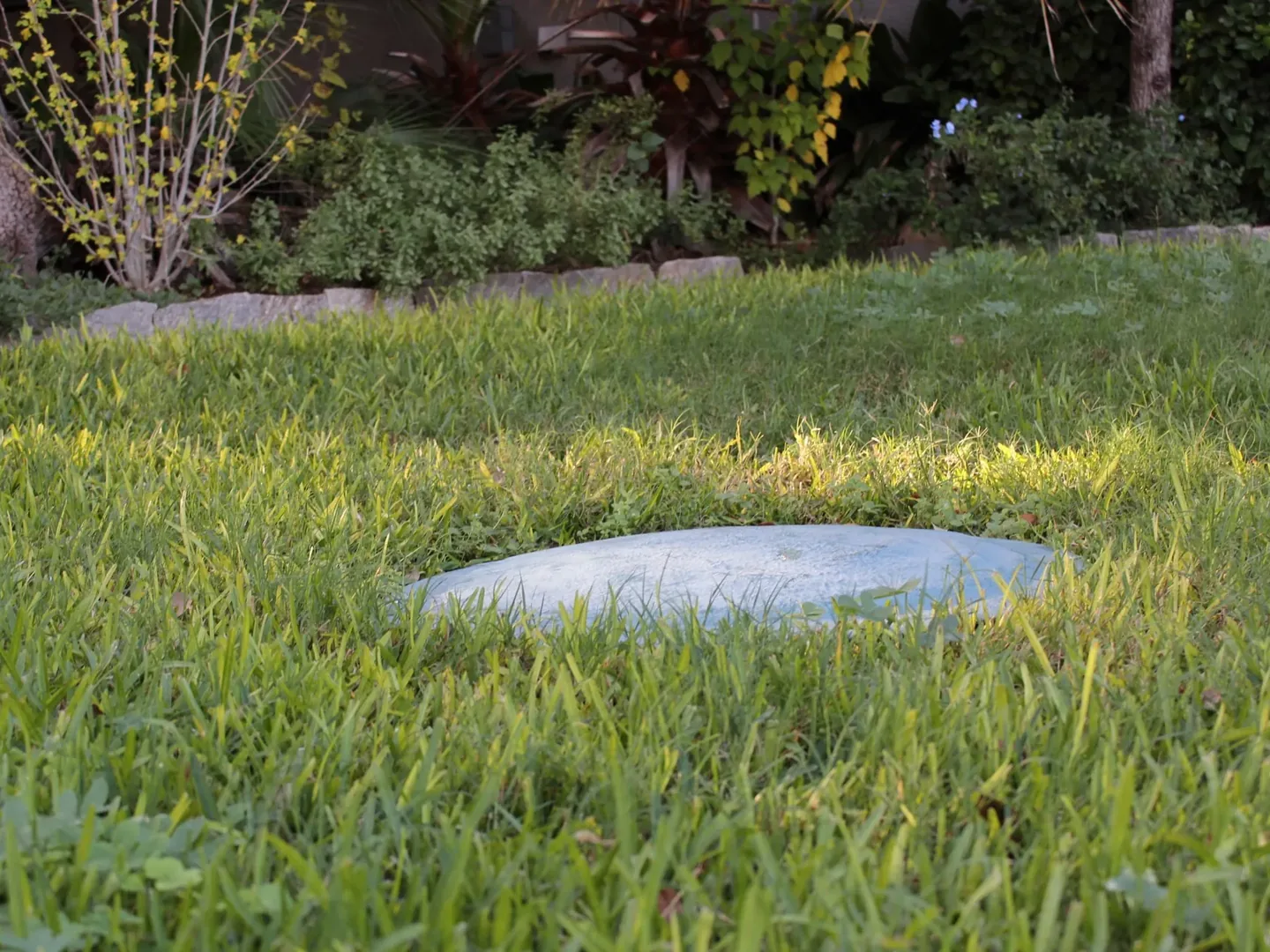 Round septic riser lid set flush with the grass in a lawn beside a planted bed, septic tank lids and risers